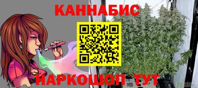 дмт Пенза