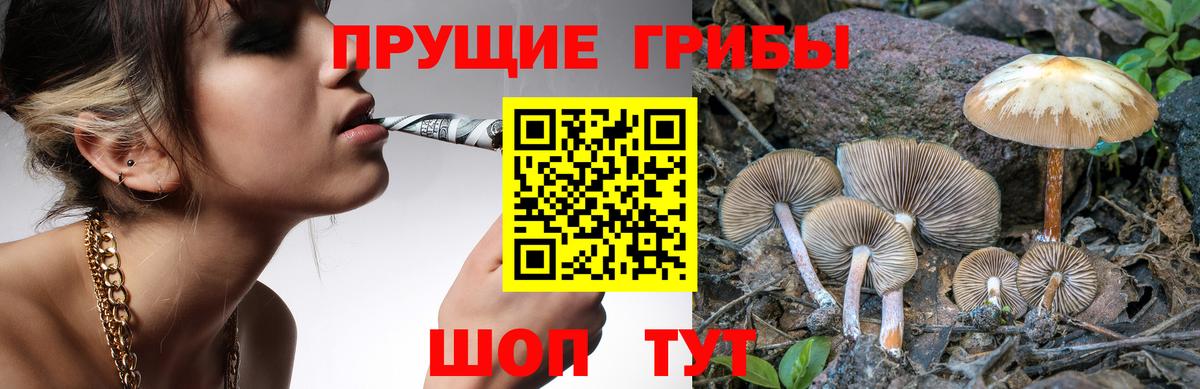 Псилоцибиновые грибы MAGIC MUSHROOMS  Галлюциногенные грибы MAGIC MUSHROOMS  Вход с VPN  Северобайкальск 